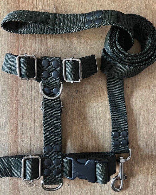 Producto - Pretal y correa GREEN