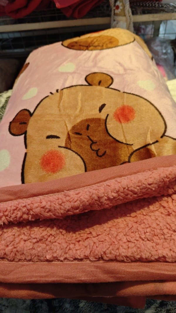 Producto - LINEA BLANCO Frazadas plush con corderito