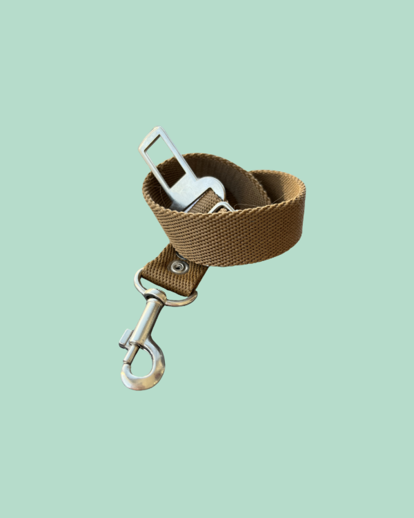Producto - Cinturón de Seguridad Simple Regulable