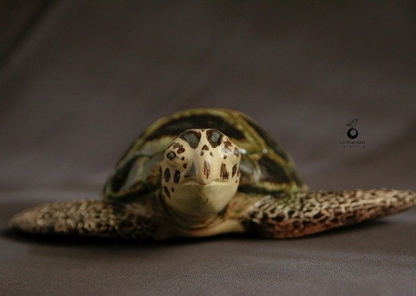 Producto - Tortuga Marina - Escultura - 15