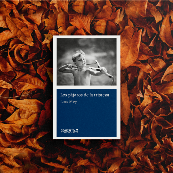 Producto - Los pájaros de la tristeza - Luis Mey