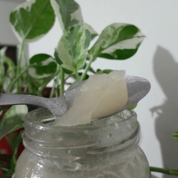 Producto - COLAGENO caldo de huesos