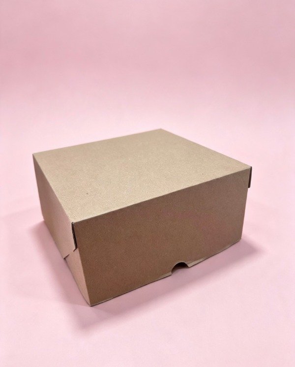 Producto - BOX MICRO T/BISAGRA -COD.1306  20X10X20 - 0