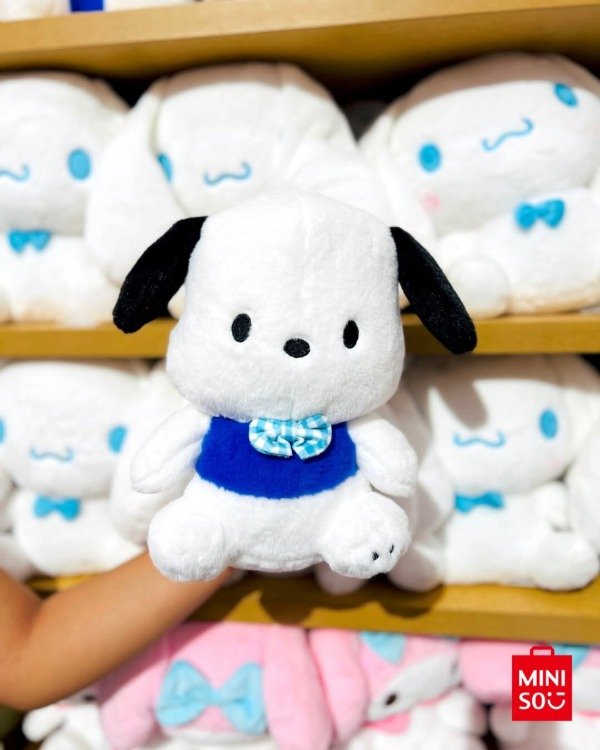 Producto - Peluche POCHACCO (MINISO OFICIAL)