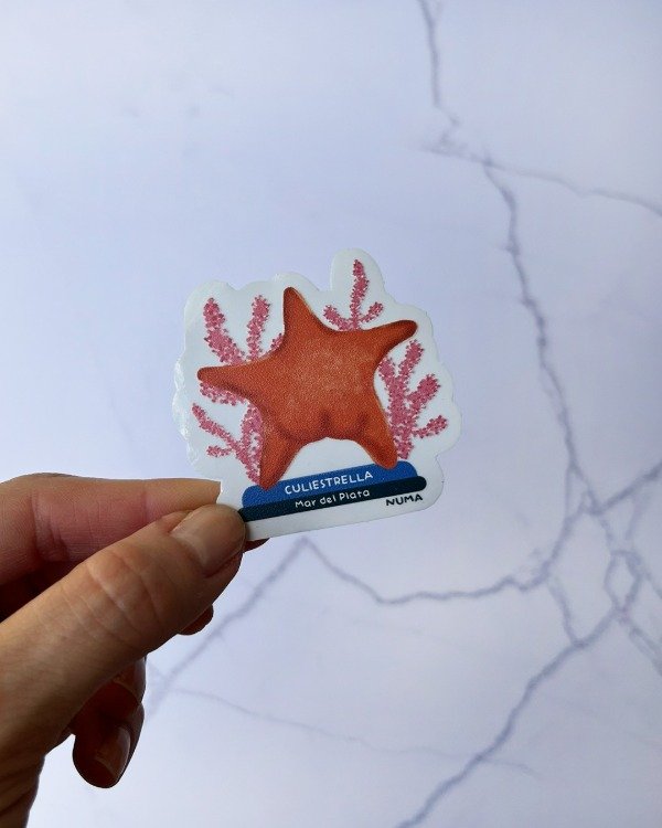 Producto - Sticker vinilo transparente CULIESTRELLA