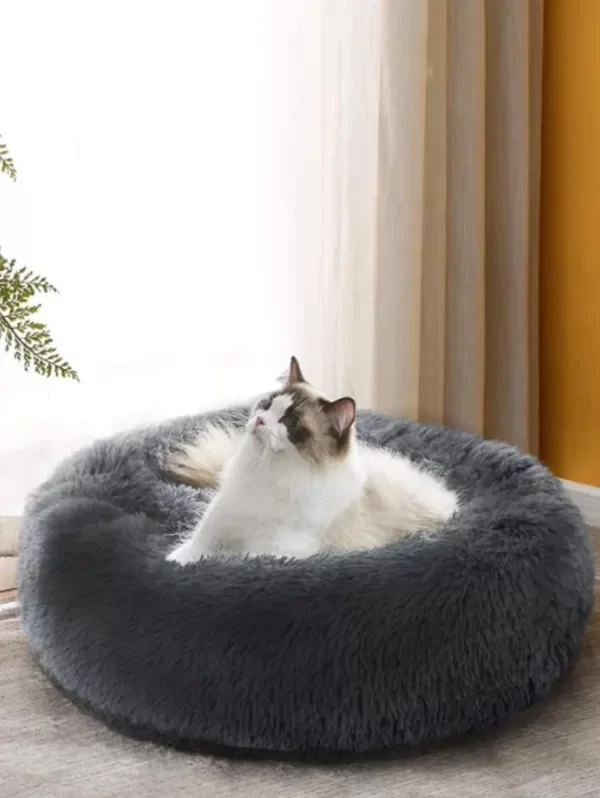 Producto - Cama "Comfy Pets".