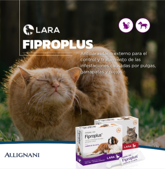 Producto - Fiproplus laika
