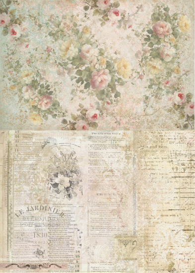 Producto - FAIRY.S15