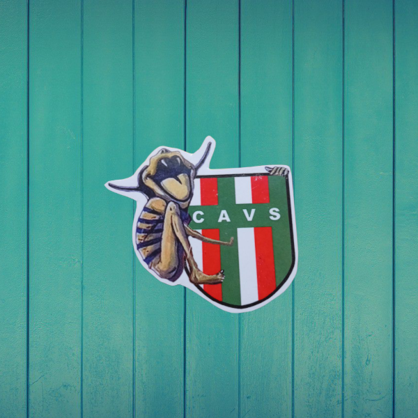 Producto - Piojo velez