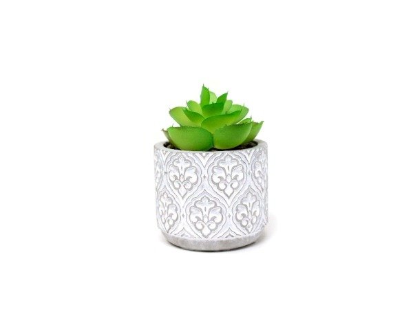 Producto - PLANTA C MAC CEMENTO 7 5X10CM