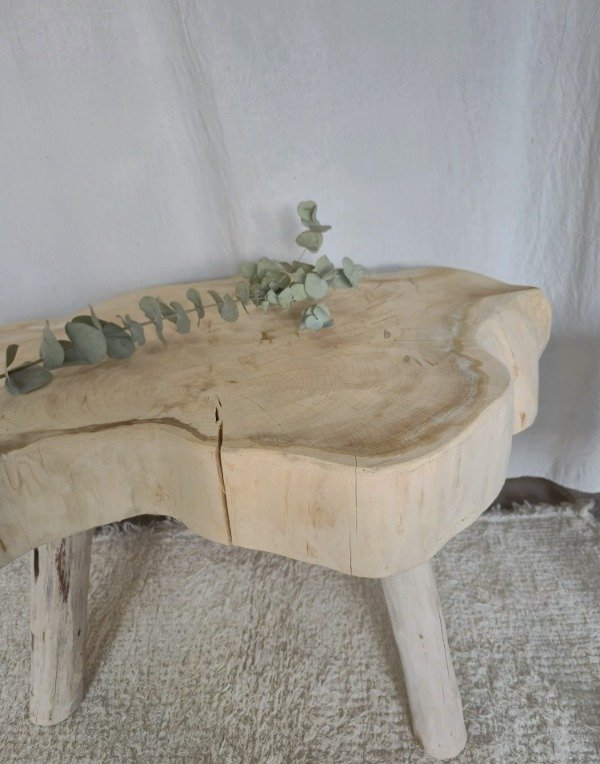 Producto - Mesa Rodajon XL