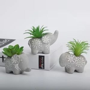 Producto - Mini maceta elefante con suculenta