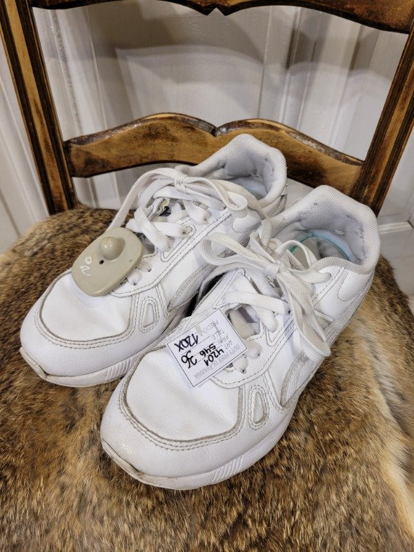 Producto - Zapatillas PUMA blancas Talle 36 - PRECIO: 120X