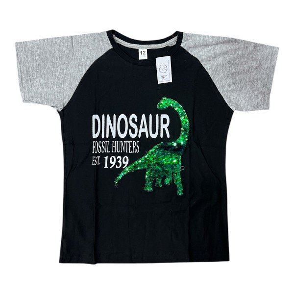 Producto - REMERA LENTEJUELAS