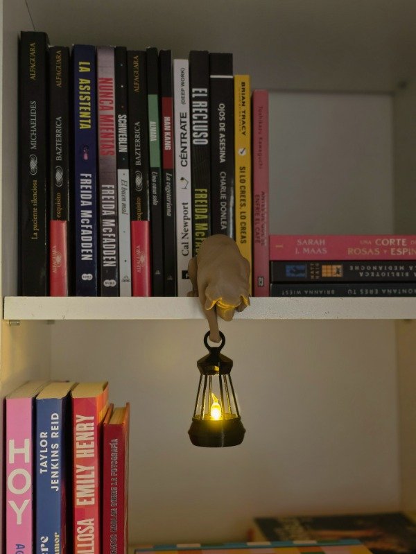 Producto - PERRO CON FAROL PARA BIBLIOTECAS - 1