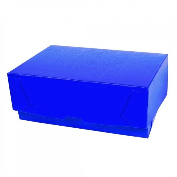 Producto - CAJA DE ARCHIVO PLASTICA OFICIO N3 AZUL