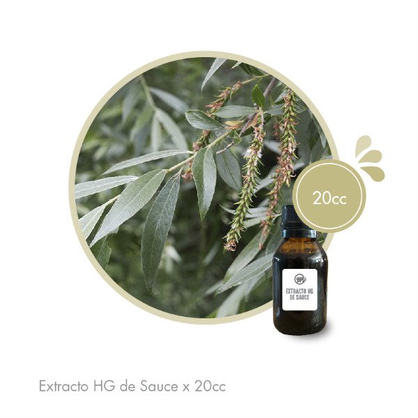 Producto - Extracto HG de Sauce