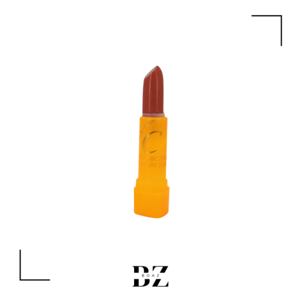 Producto - LAPIZ LABIAL X 12 VC 398-2
