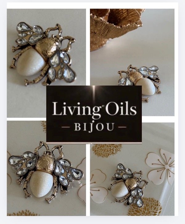 Producto - Broche fantasía Escarabajo