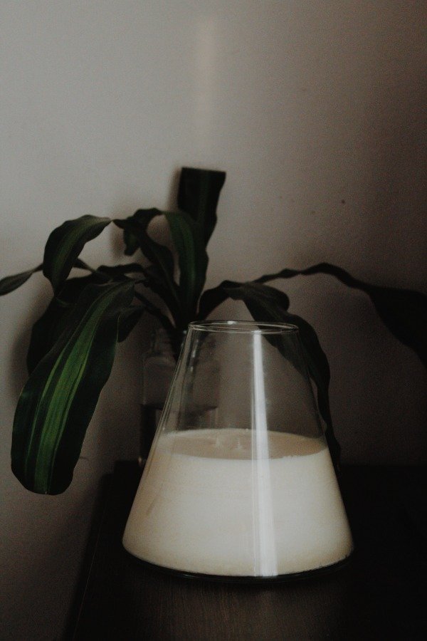 Producto - Conico MEDIANO - 0