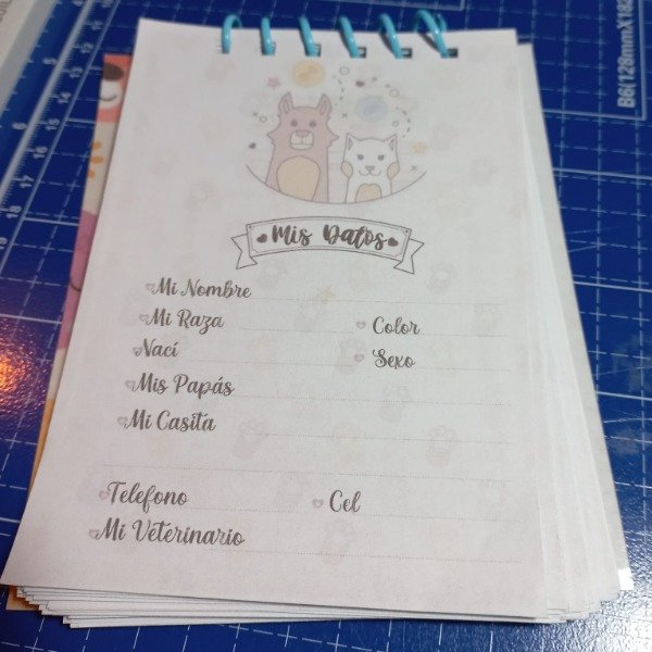 Producto - Agenda 2027 MASCOTAS - 1