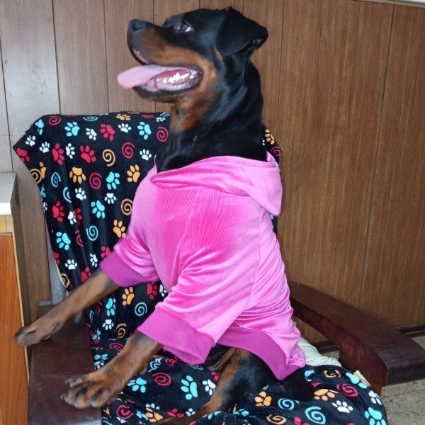 Producto - Buzo Urbano