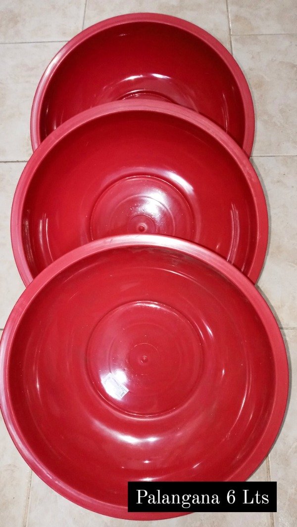 Producto - Palangana  x 6Lt