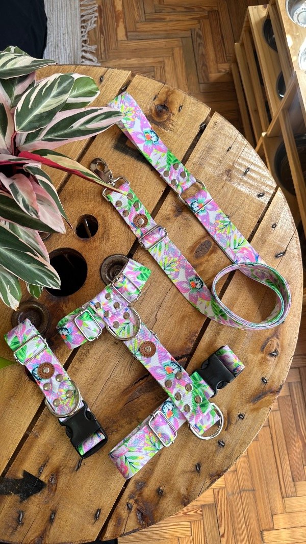 Producto - Combo Selvático Reforzado