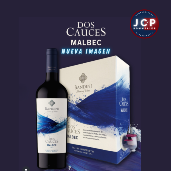 Producto - DOS CAUCES MALBEC - FINCA BANDINI - BAG IN BOX 3 LITROS  ALTA GAMA