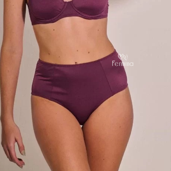 Producto - BIKINI ALTA GRANATE ART. WO55274V26