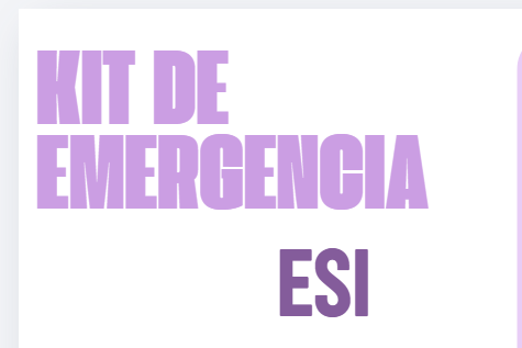Producto - KIT DE emergencia ESI