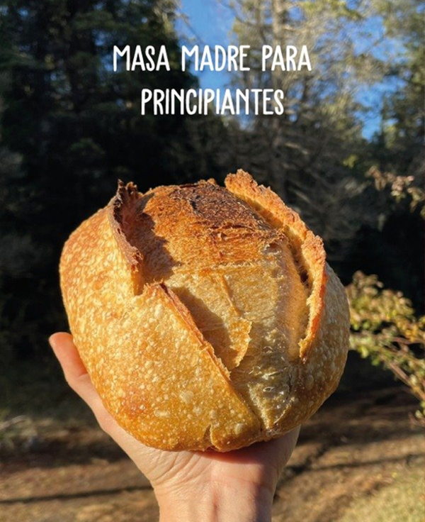 Producto - Guía Masa Madre para Principiantes
