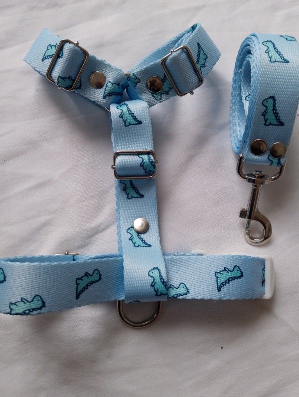 Producto - Conjunto Dino Baby Blue - 2