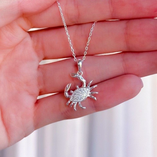 Producto - Conjunto Cangrejo (CD294)