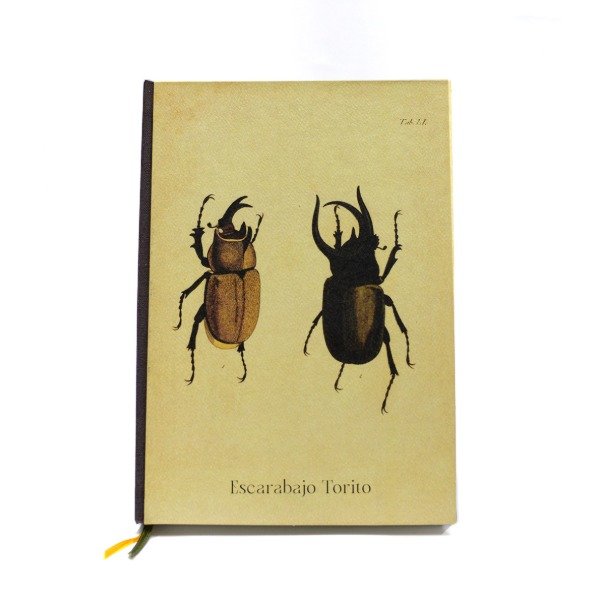 Producto - Escarabajo Toritos