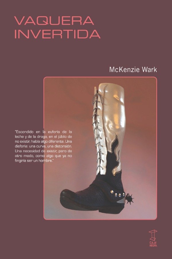 Producto - Vaquera invertida, McKenzie Wark