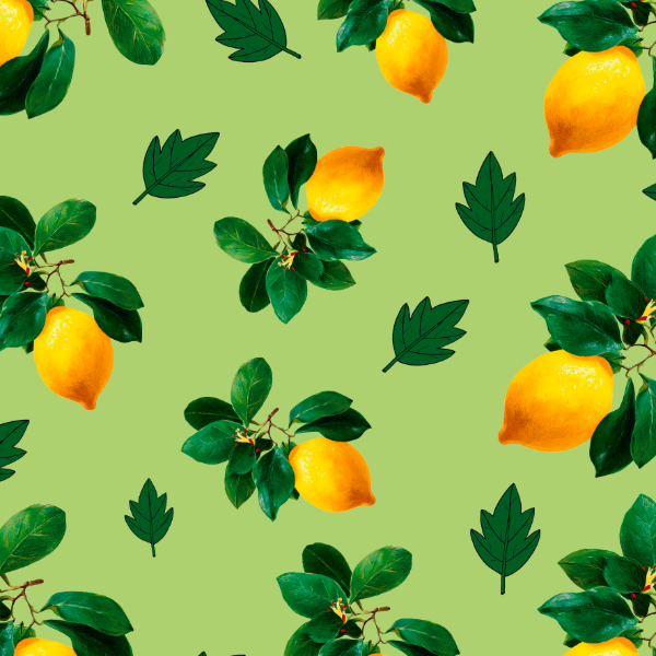 Producto - ALIM - 07