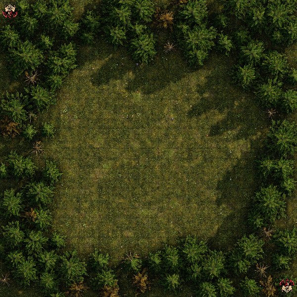 Producto - Bosque 6 XL