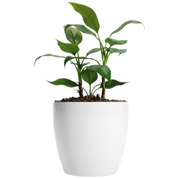 Producto - MACETA PREMIUM N22 5L COLOR BLANCO 10 UNIDADES