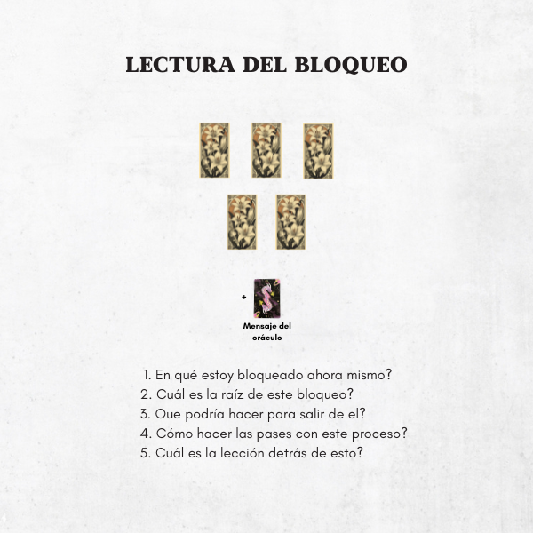 Producto - Lectura del bloqueo