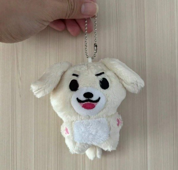 Producto - Llavero Enhypen Jake