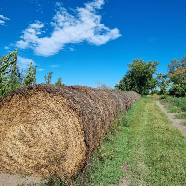 Producto - Finca con Casa / calle B / 10.5 has