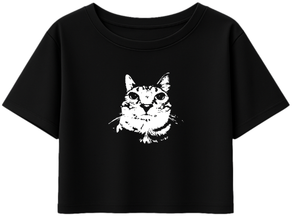 Producto - Top Gato 4