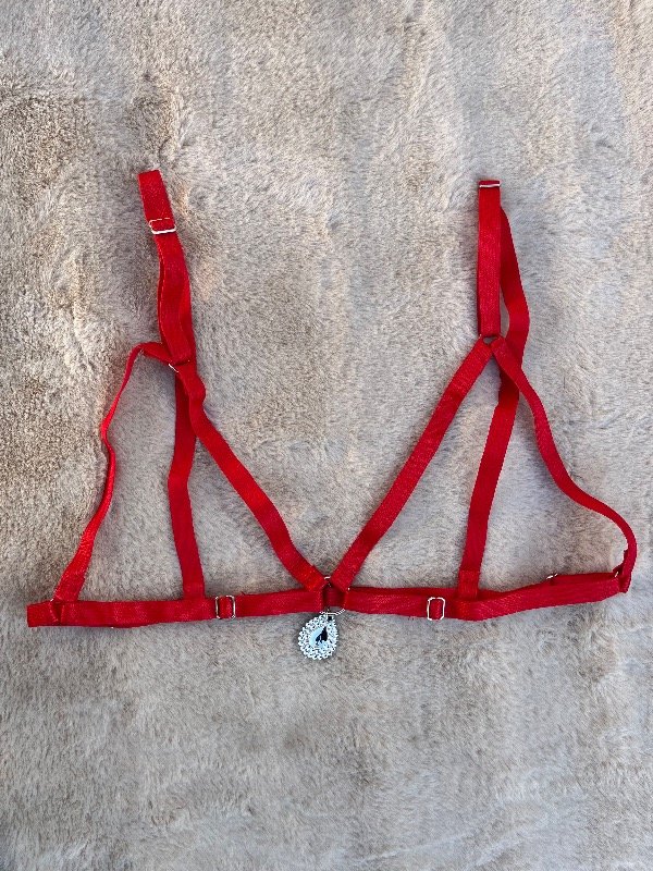 Producto - Arnés variedad