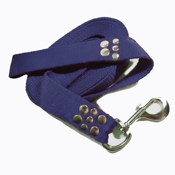 Producto - Correa de perro Strong x 4 cm de ancho con mosquetón de caballo - 0
