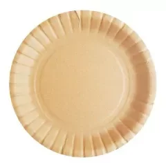 Producto - Plato Kraft 18cm CHICO x 10 unidades