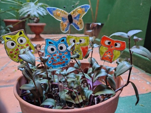 Producto - Tutores Buhos - 4