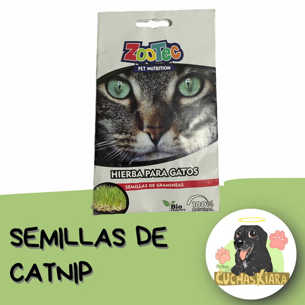 Producto - Semillas Catnip