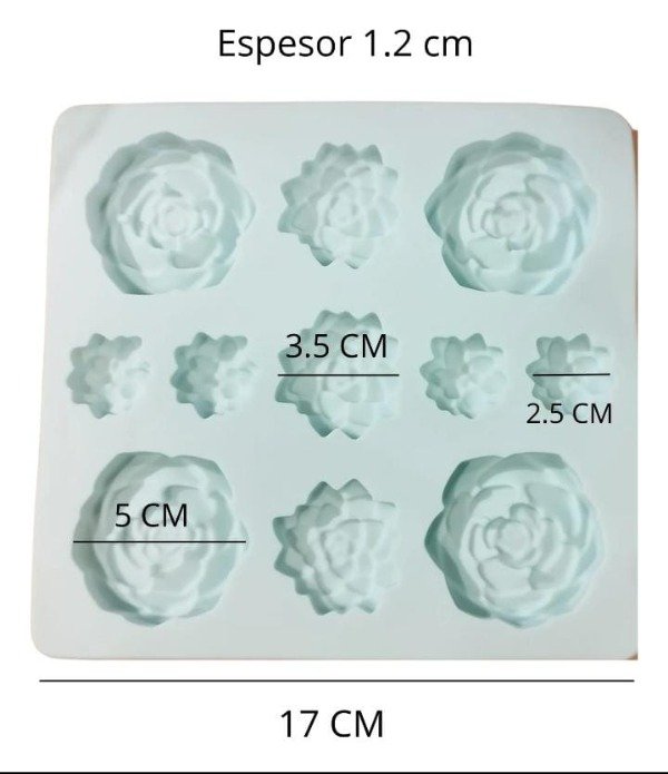 Producto - Molde suculentas x11