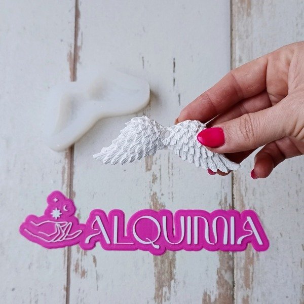 Producto - Aplique ALITAS